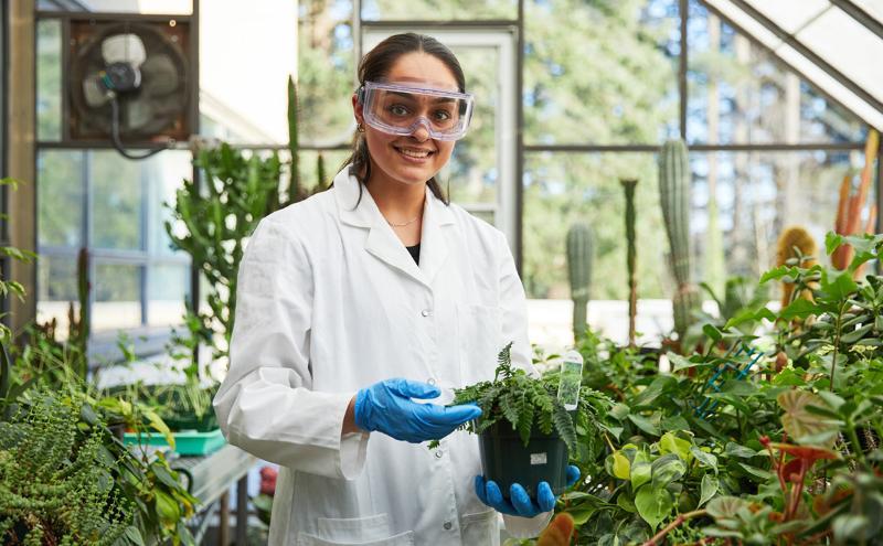 A Bachelor of Science student learns about various plants in the botany lab